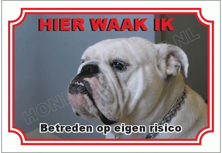 Engelse bulldog