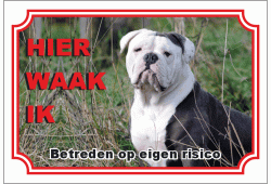 Engelse bulldog