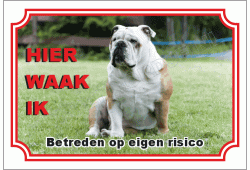 Engelse bulldog