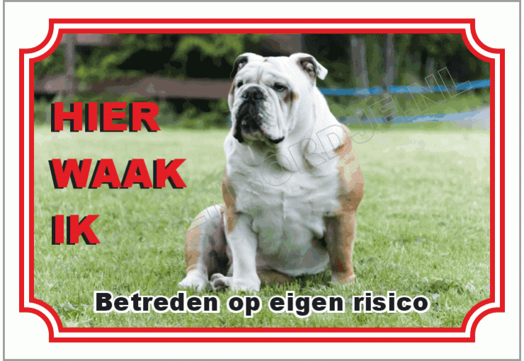 Engelse bulldog