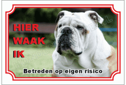 Engelse bulldog