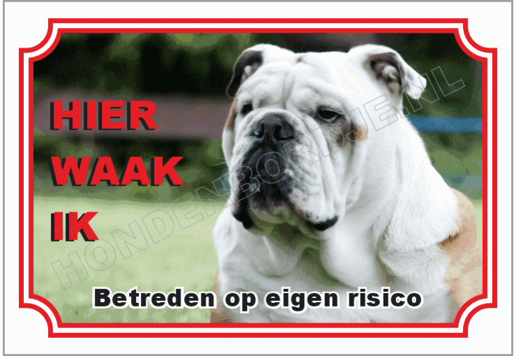 Engelse bulldog