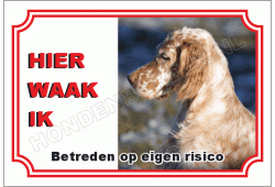 Engelse setter