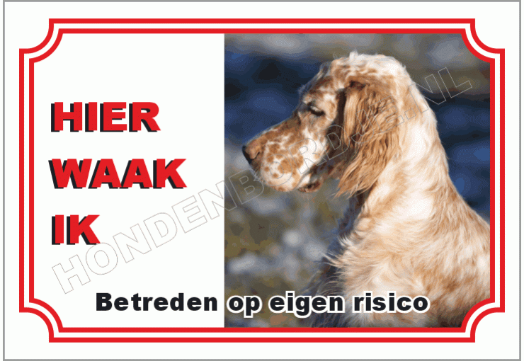 Engelse setter