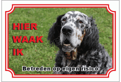 Engelse setter