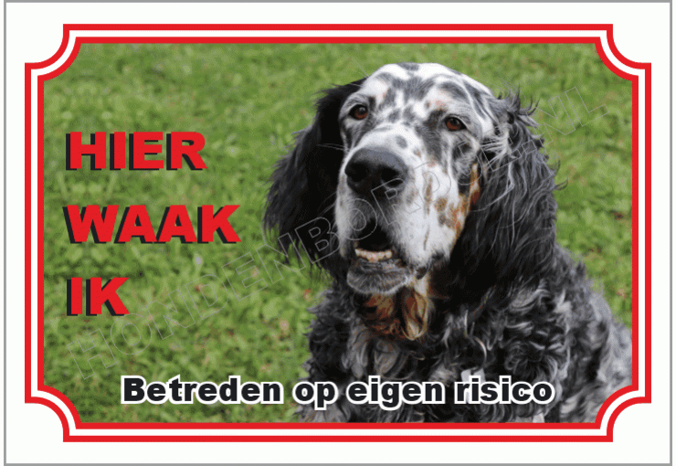 Engelse setter