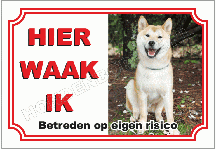 Akita