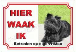 Affenpinscher