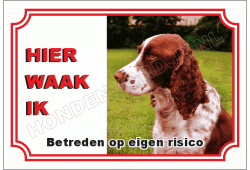 Engelse springer spaniel
