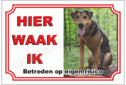 Appenzeller sennenhond