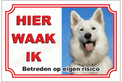 Zwitserse witte herdershond