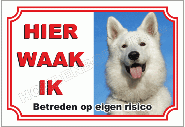 Zwitserse witte herdershond
