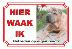 Shar-pei
