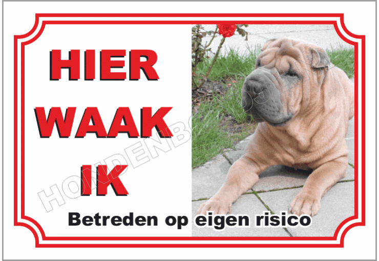 Shar-pei