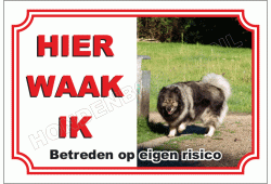 Grote keeshond, wolfsgrijs