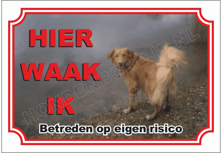 Nova scotia duck tolling retriever