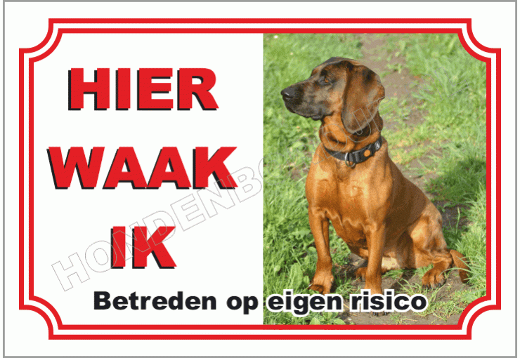 Bayrischer gebirgsschweisshund