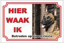 Belgische herdershond, mechelse