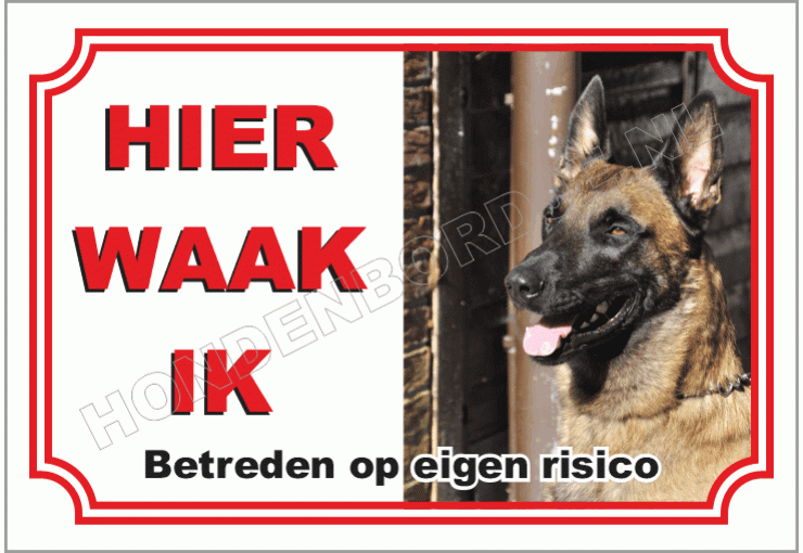 Belgische herdershond, mechelse