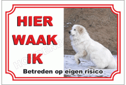 Berghond van de maremmen