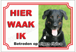 Beauceron