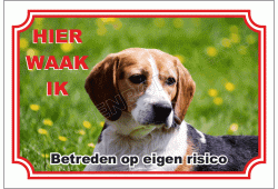 Beagle harrier