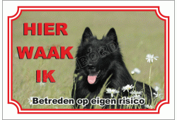 Belgische herdershond, groenendaeler