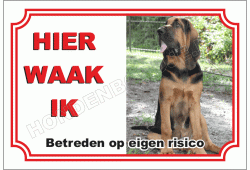 Bloedhond