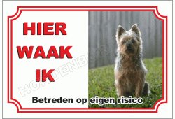 Australian terrier