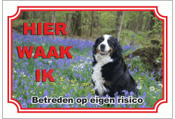 Berner sennenhond