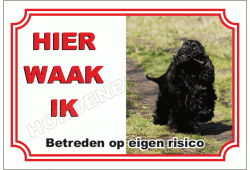 Engelse cocker spaniel zwart