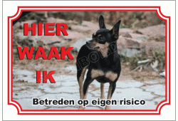 Engelse toy terrier