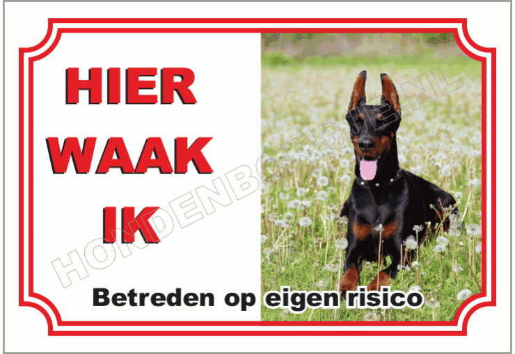Dobermann