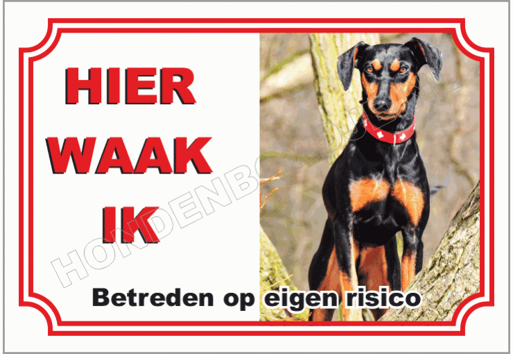 Duitse pinscher