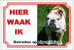 Engelse bulldog