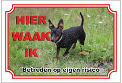 Duitse dwergpinscher