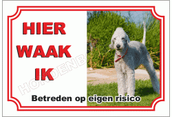 Bedlington terrier
