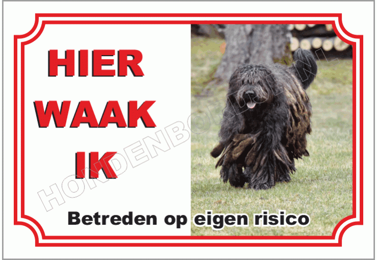Bergamasco
