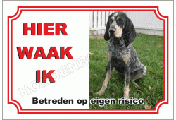 Black and tan coonhound