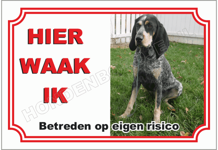 Black and tan coonhound