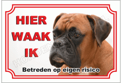Boxer