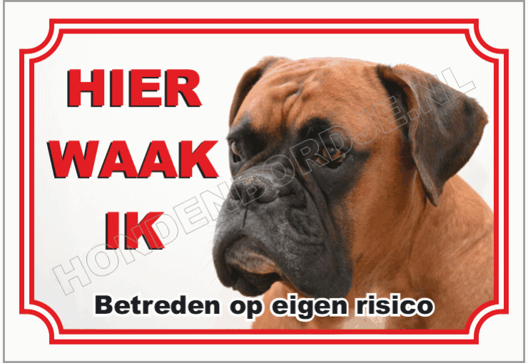 Boxer