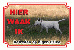 Bull terrier