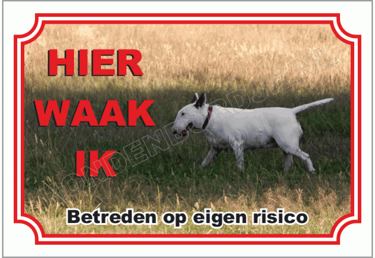 Bull terrier