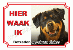 Rottweiler