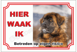 Leonberger