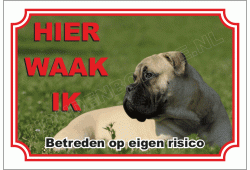 Bullmastiff