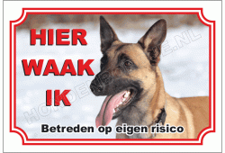 Hollandse herder korthaar