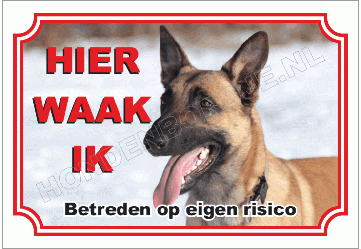 Hollandse herder korthaar