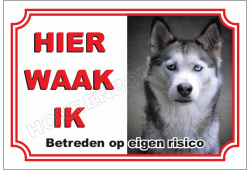 Husky